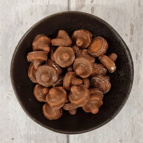 Franssons Chokolade Svampe