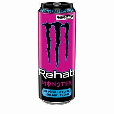 Monster Rehab Wild Berry Tea 458 ml | SlikOasen